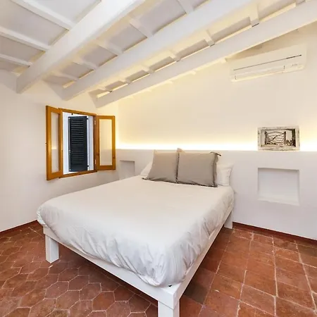 Sant Isidre 50